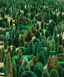 16: A Planted Garden